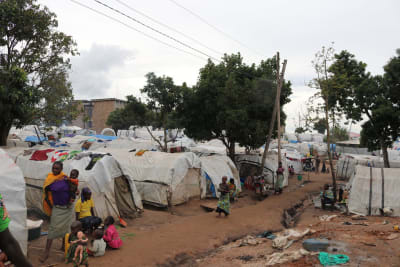 Unprecedented Exodus: UN Report Reveals Staggering Global Forced Displacement Crisis Demanding Urgent Action