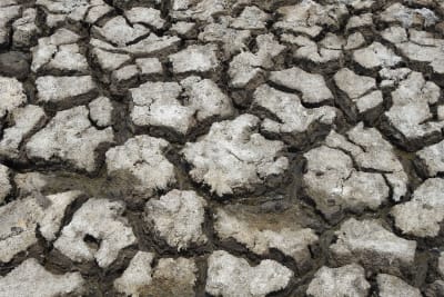 Europe's Scorching Summer: Record Temperatures, Energy Crises, and Mounting Health Risks Signal Urgent Climate Reality