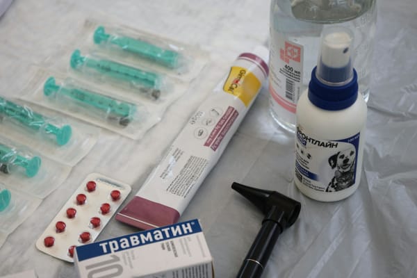 Ebola's Deadly Return: Urgency Mounts as Bundibugyo Strain Defies Treatments