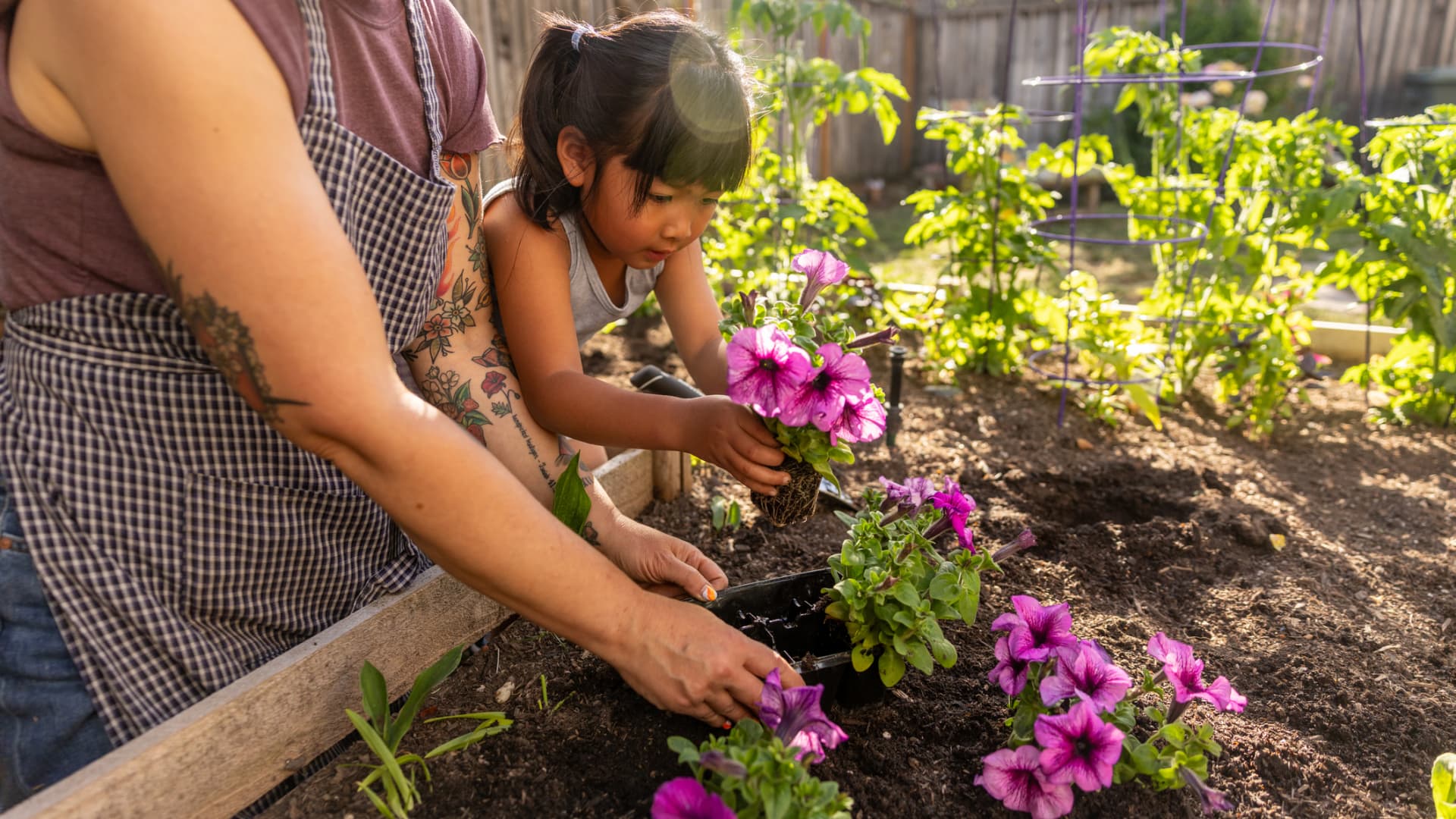 Investigating the key to human health resilience reveals vital importance of relationships