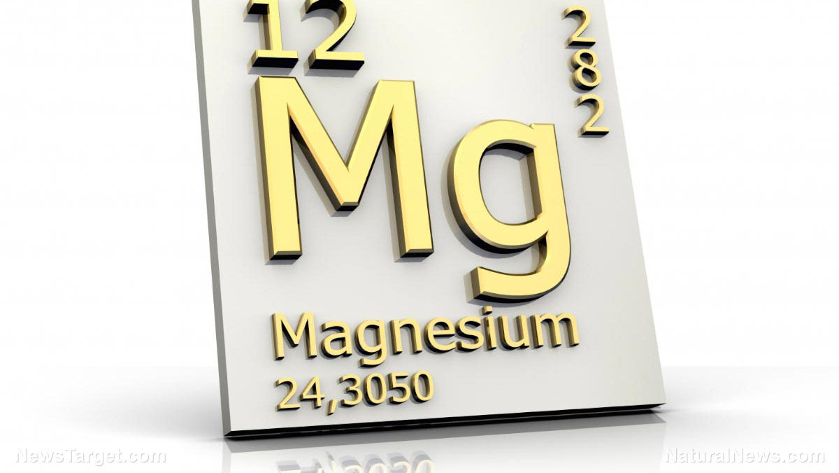 Seven potent food sources of MAGNESIUM that offer a natural shield against inflammation