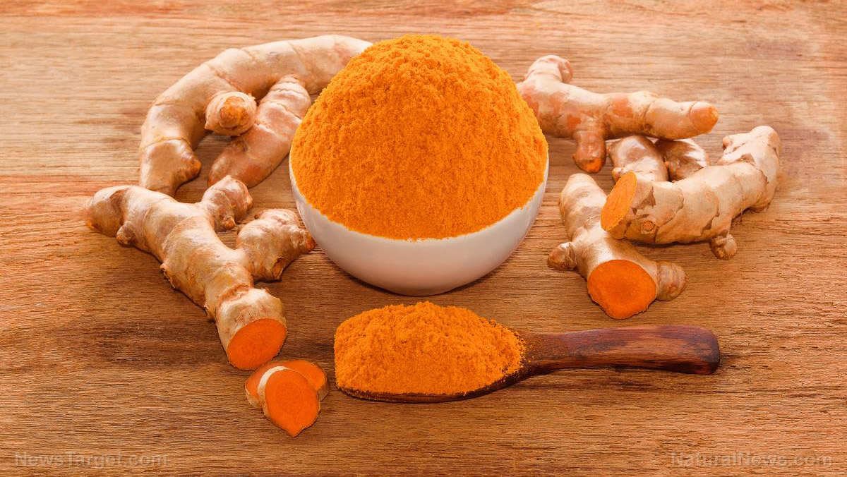 Ancient Spice Derivative Shows Promise in Tackling Modern Health Woes, Scientists Urge Caution