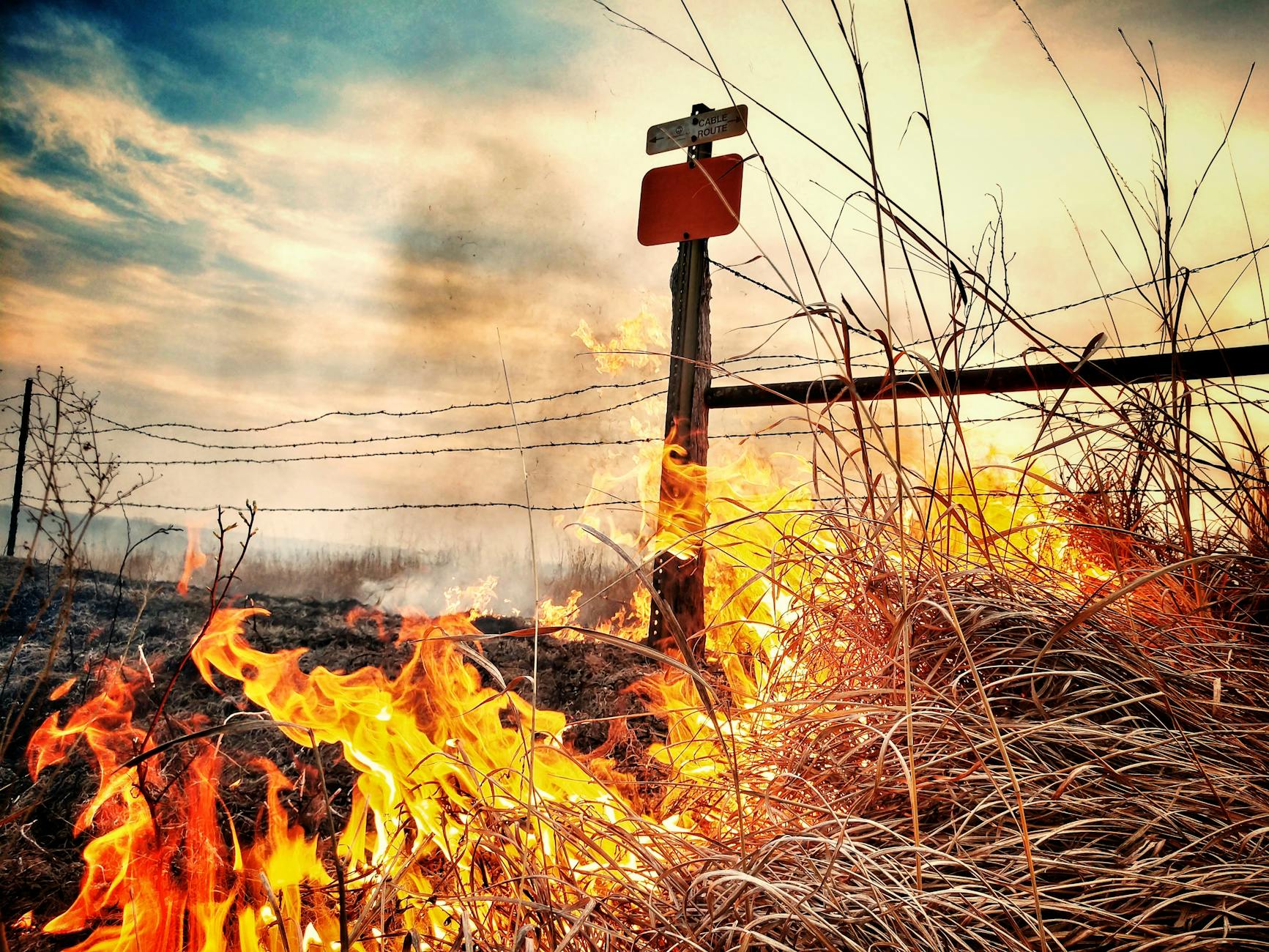 Digital Sentinels: How AI Is Rewriting the Rules of Wildfire Detection in the American West