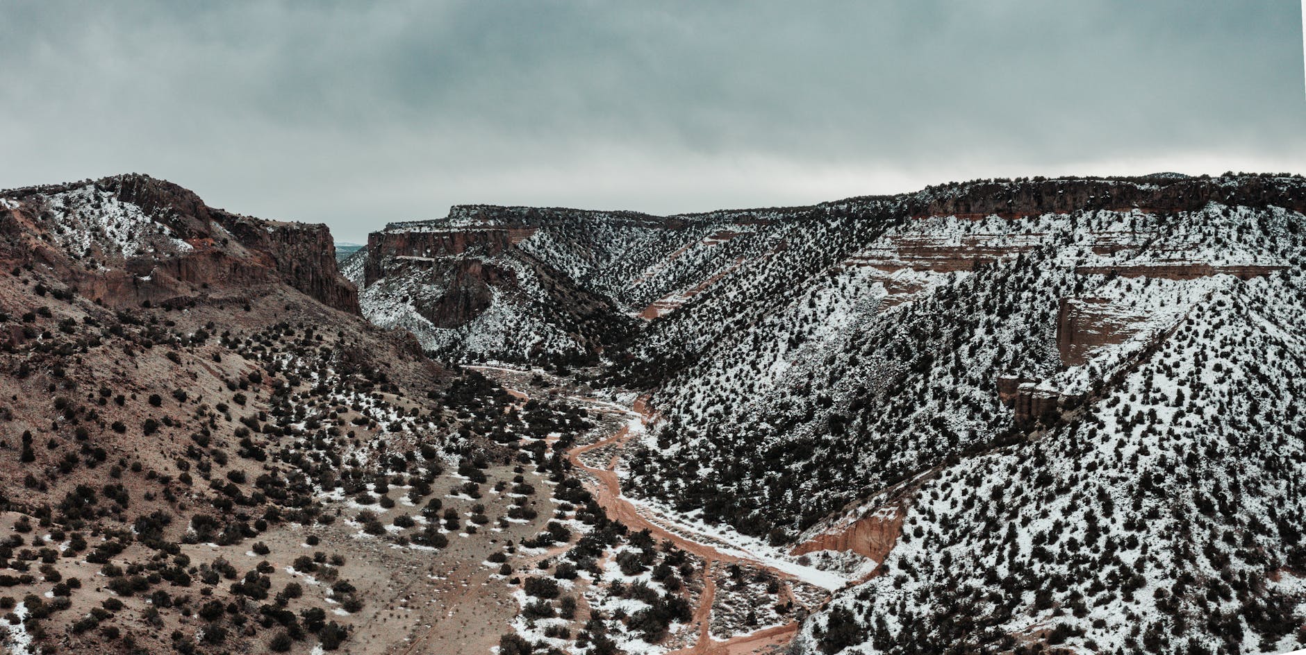 New Mexico Tech Council CEO Seeks to Amplify State's Emerging Innovation Landscape