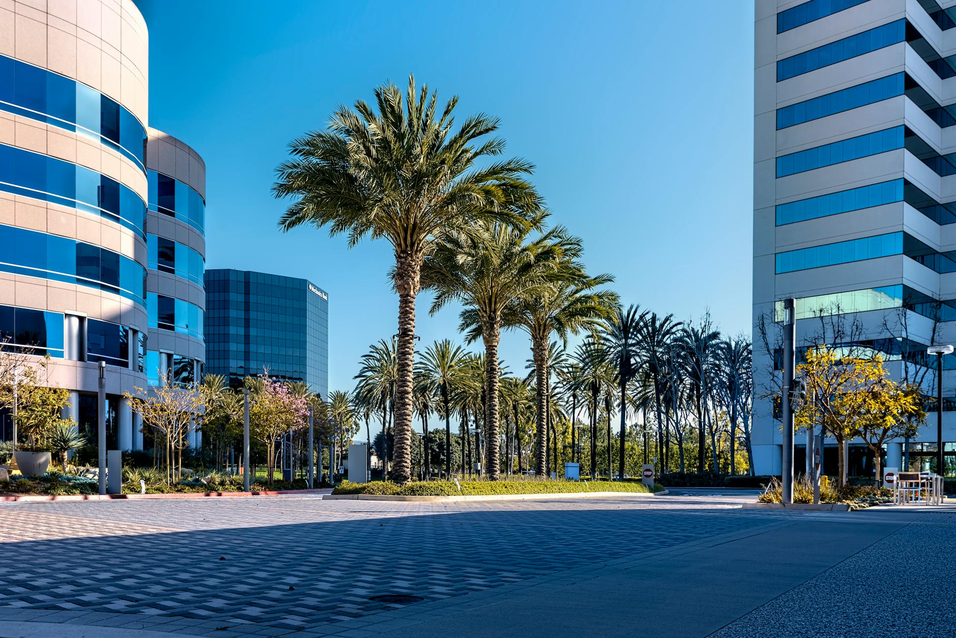 Downtown Redwood City's Public Plaza Becomes Summer Hub for Live Music and Outdoor Cinema