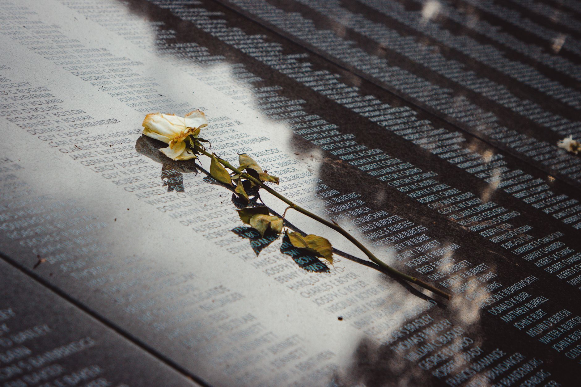 Democratic Party's Memorial Day Message Sparks Outrage, Prompting Post Deletion and Redraft