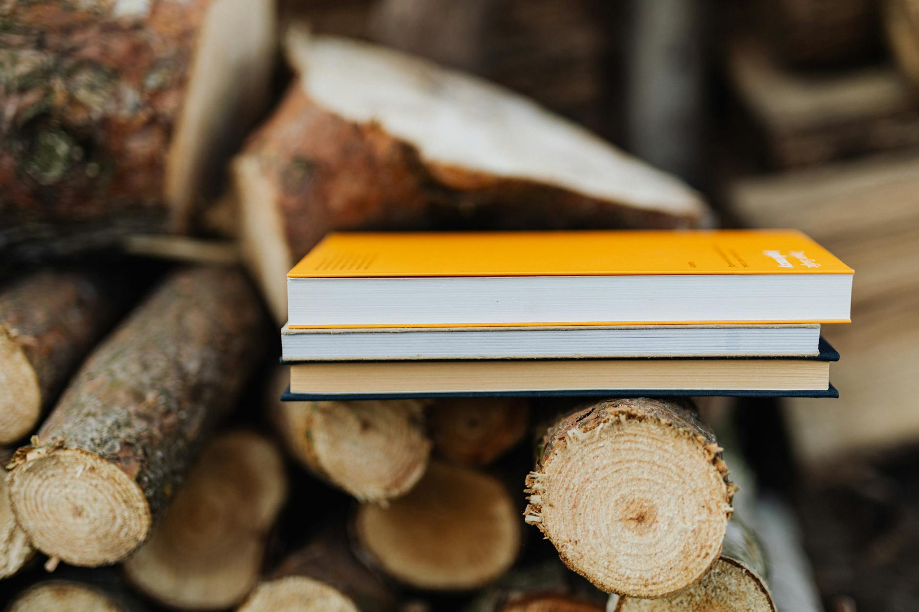 Children's Book Sparks National Uprising Against School Screen Time