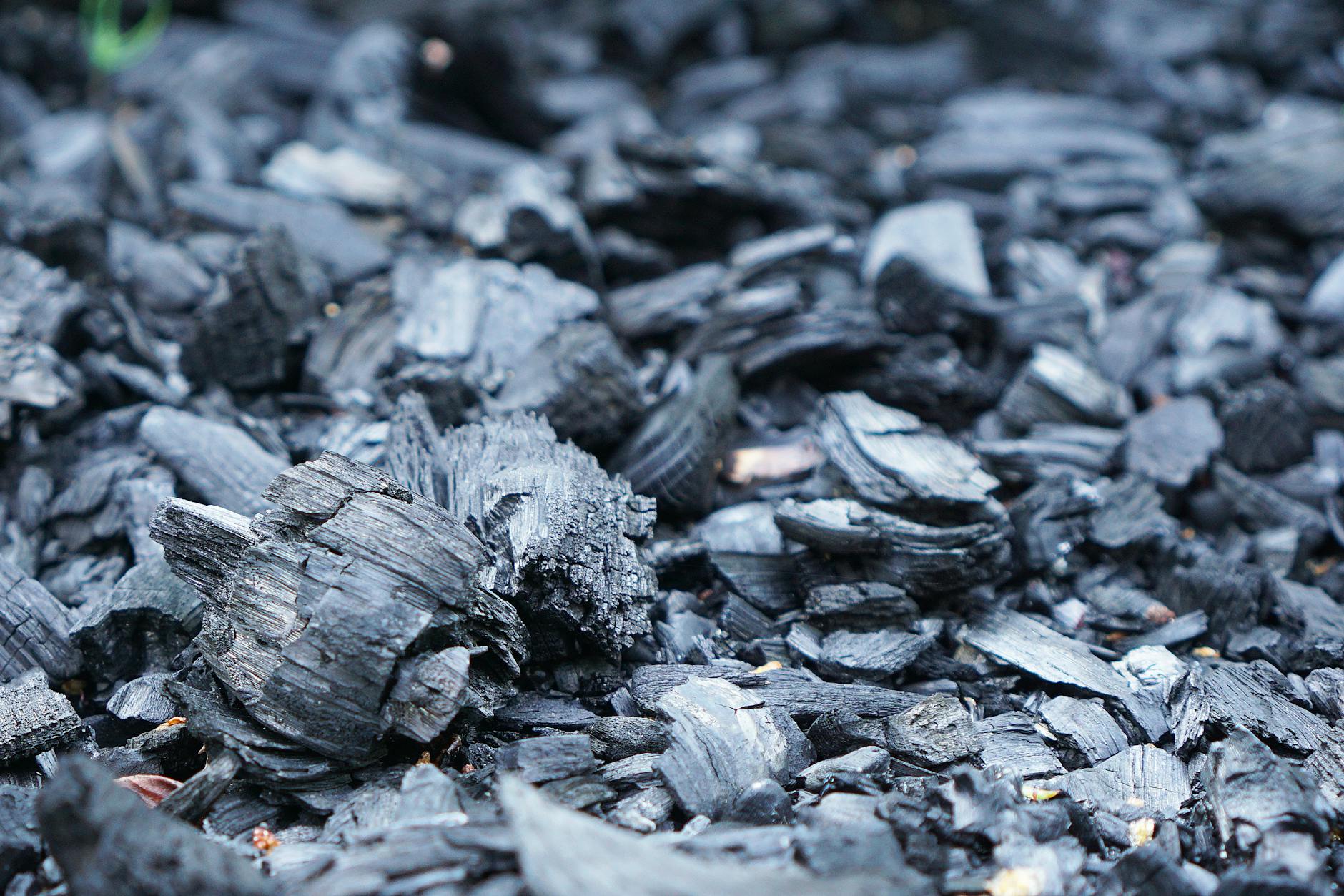 Biochar Boosts Soil Carbon Storage, Depth Key Factor