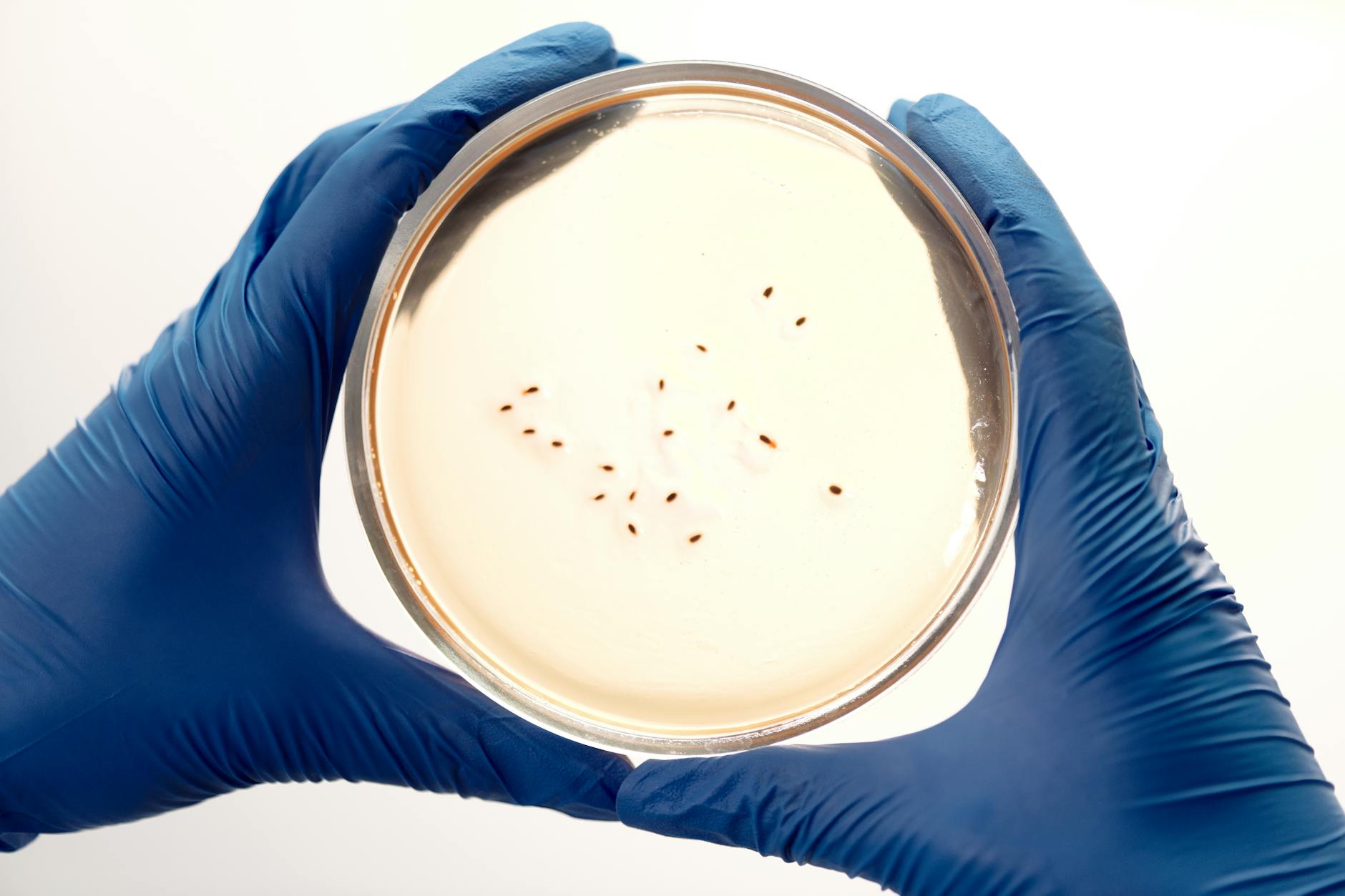 Fighting bacteria effectively without antibiotics