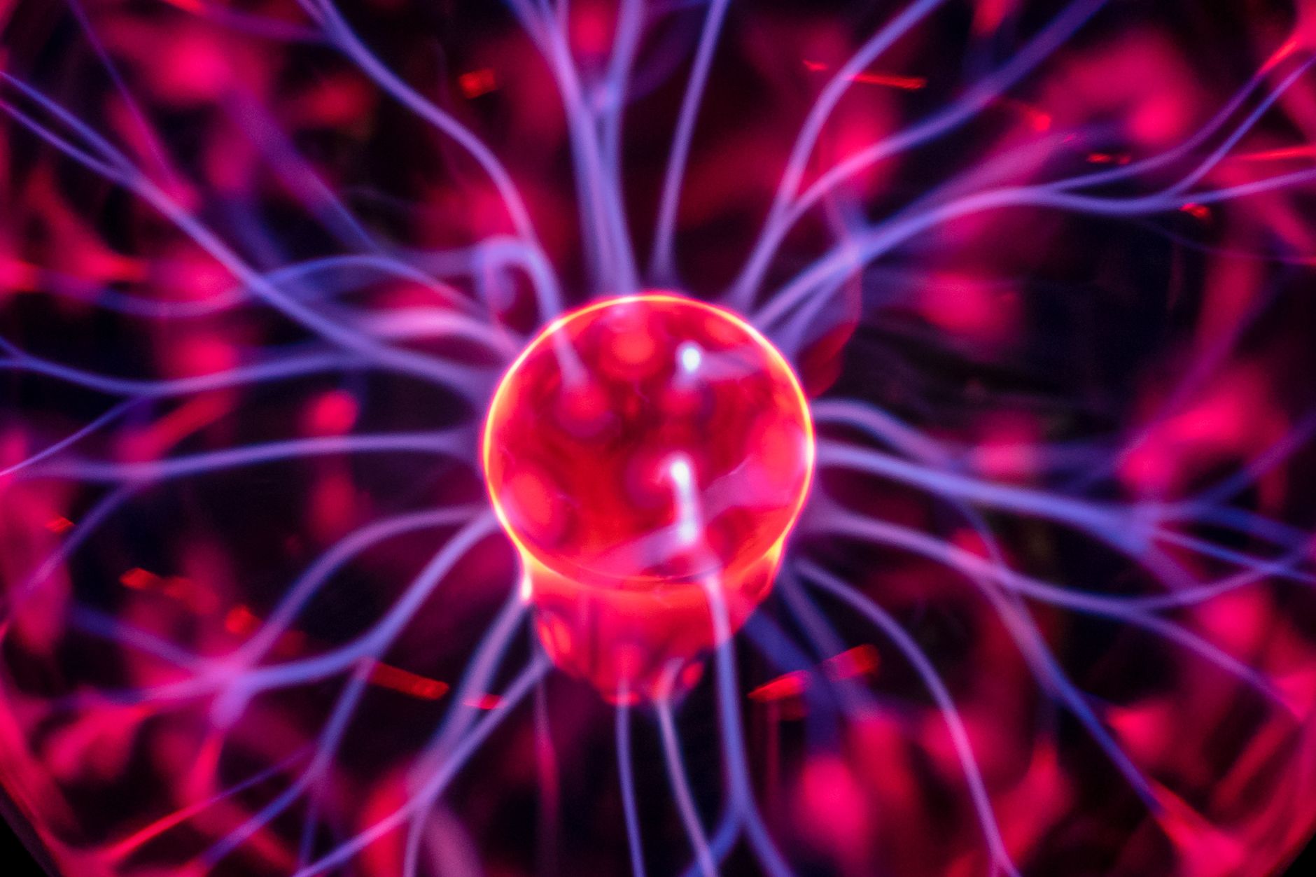 ‘Don’t scare the cat!’ Engineers find smarter way to measure quantum systems