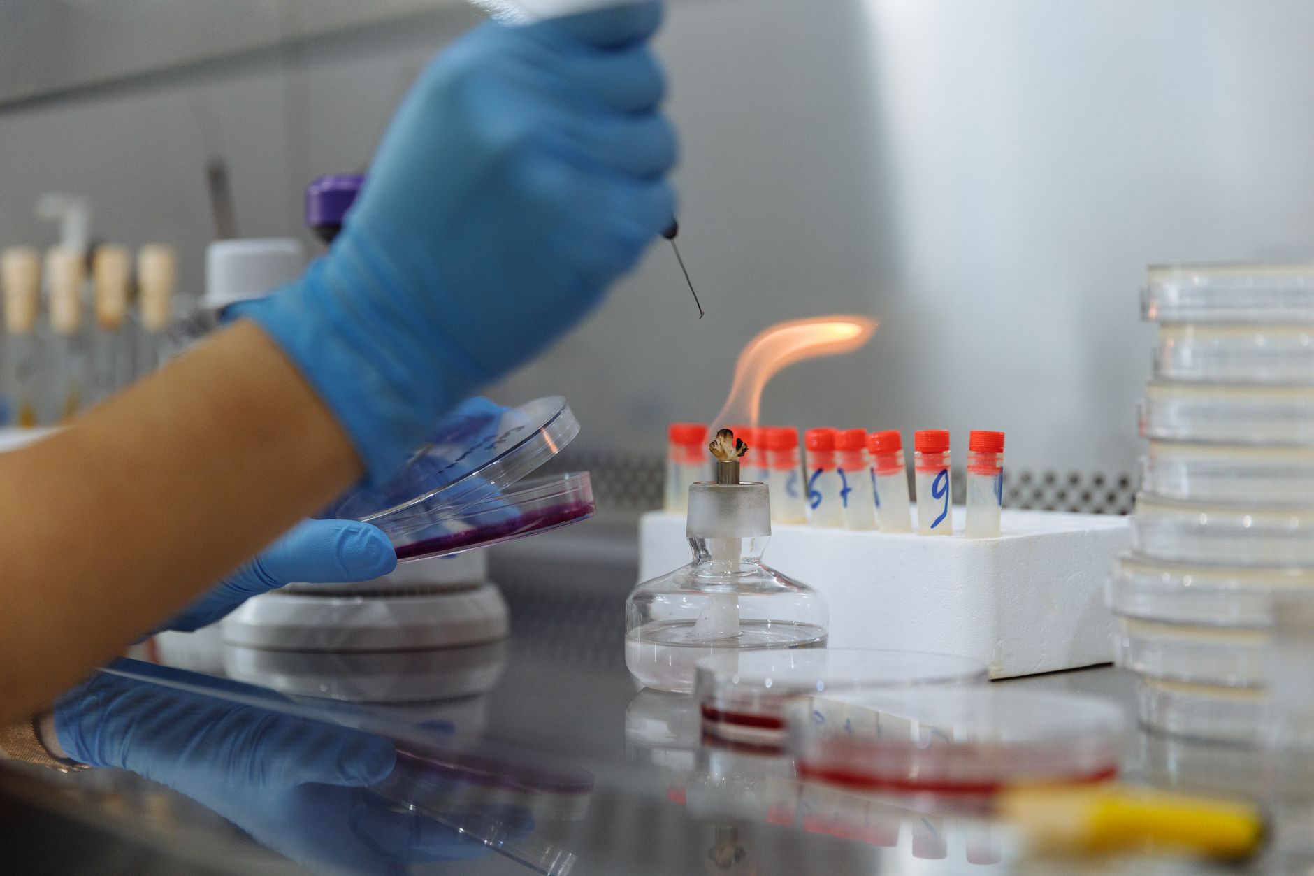 POP Biotechnologies Secures Up to $9.7 Million in CEPI Funding
