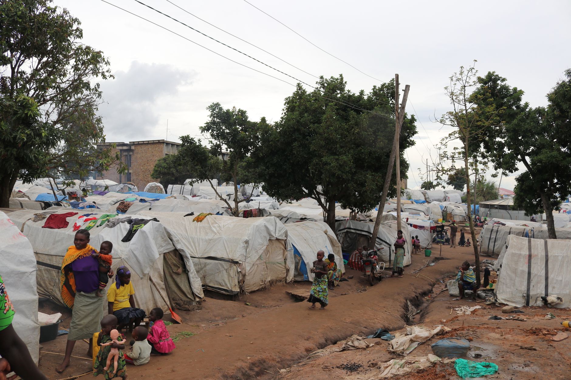 Unprecedented Exodus: UN Report Reveals Staggering Global Forced Displacement Crisis Demanding Urgent Action