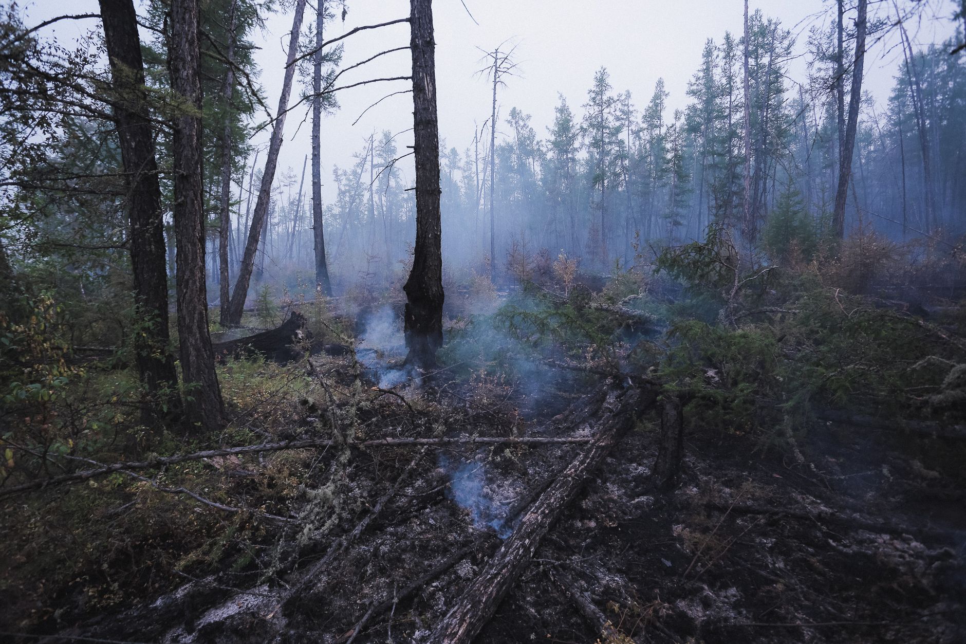 Colorado-Utah Wildfires Claim Three Firefighter Lives in Tragic Blaze