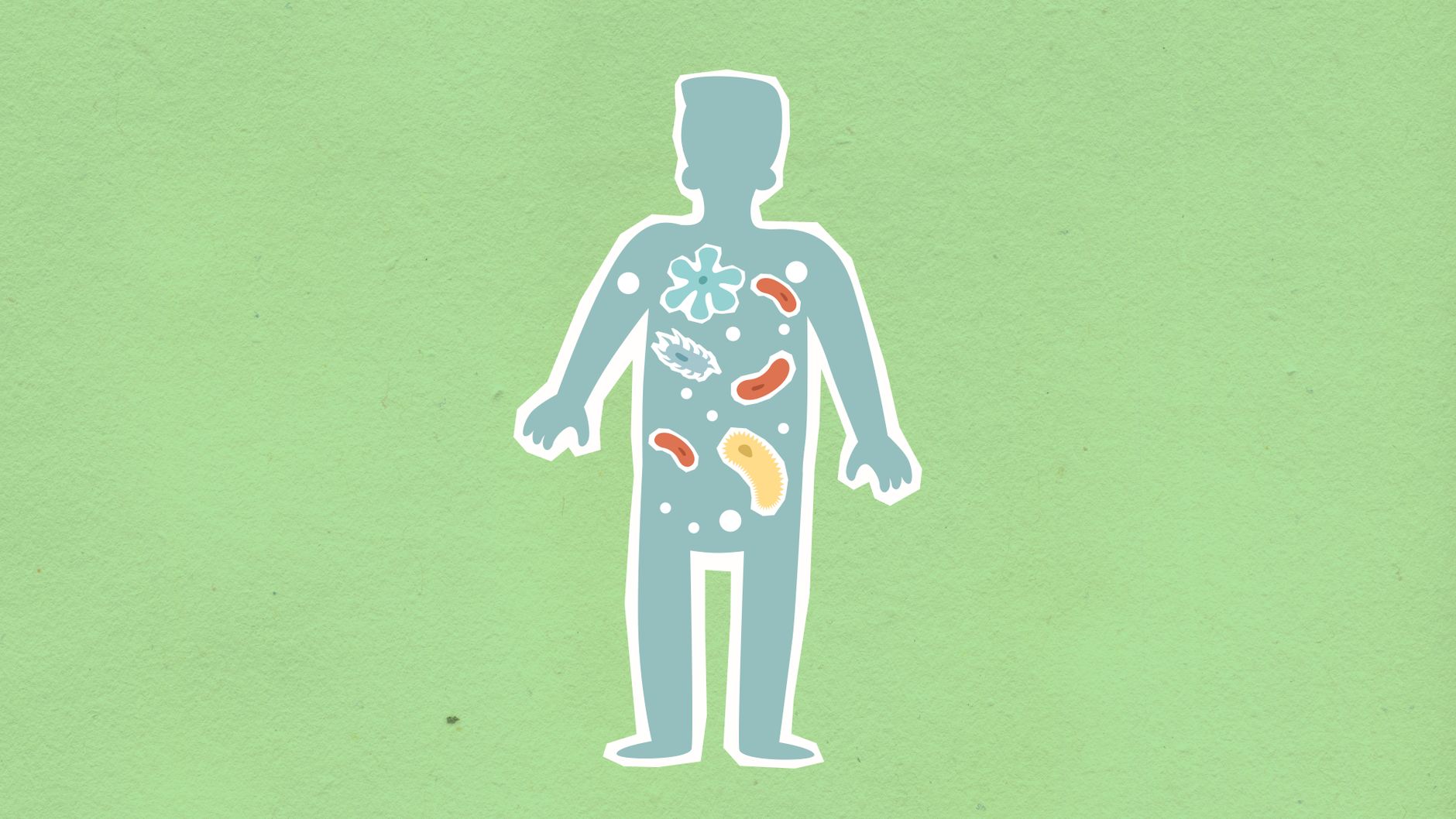 Revolutionary Drug Candidate Targets Gut Health to Combat Severe Fatty Liver Disease
