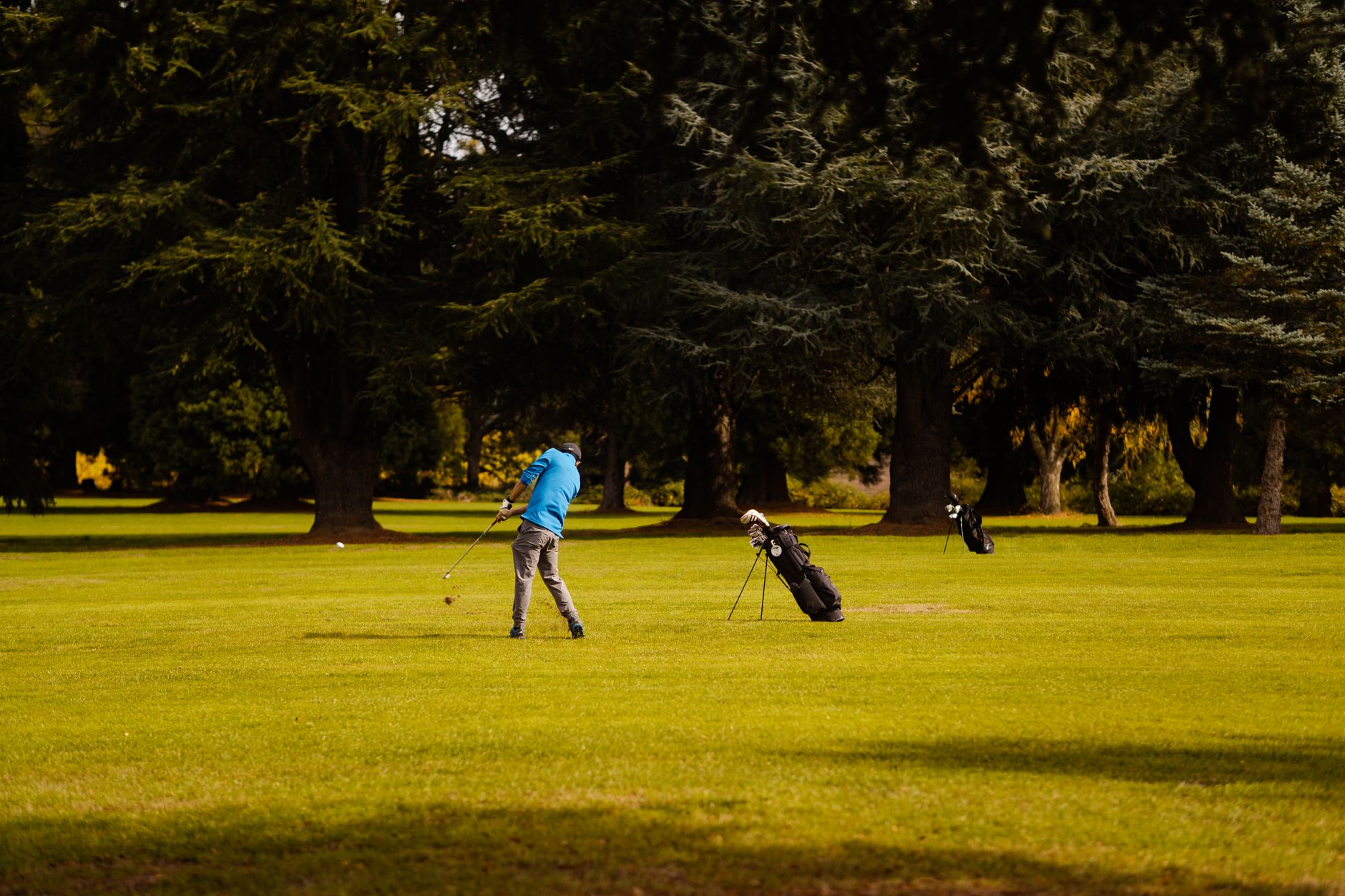 PGA Championship 2026: Final Round Fury — Rahm, McIlroy, Scheffler Battle for Golf's Ultimate Glory
