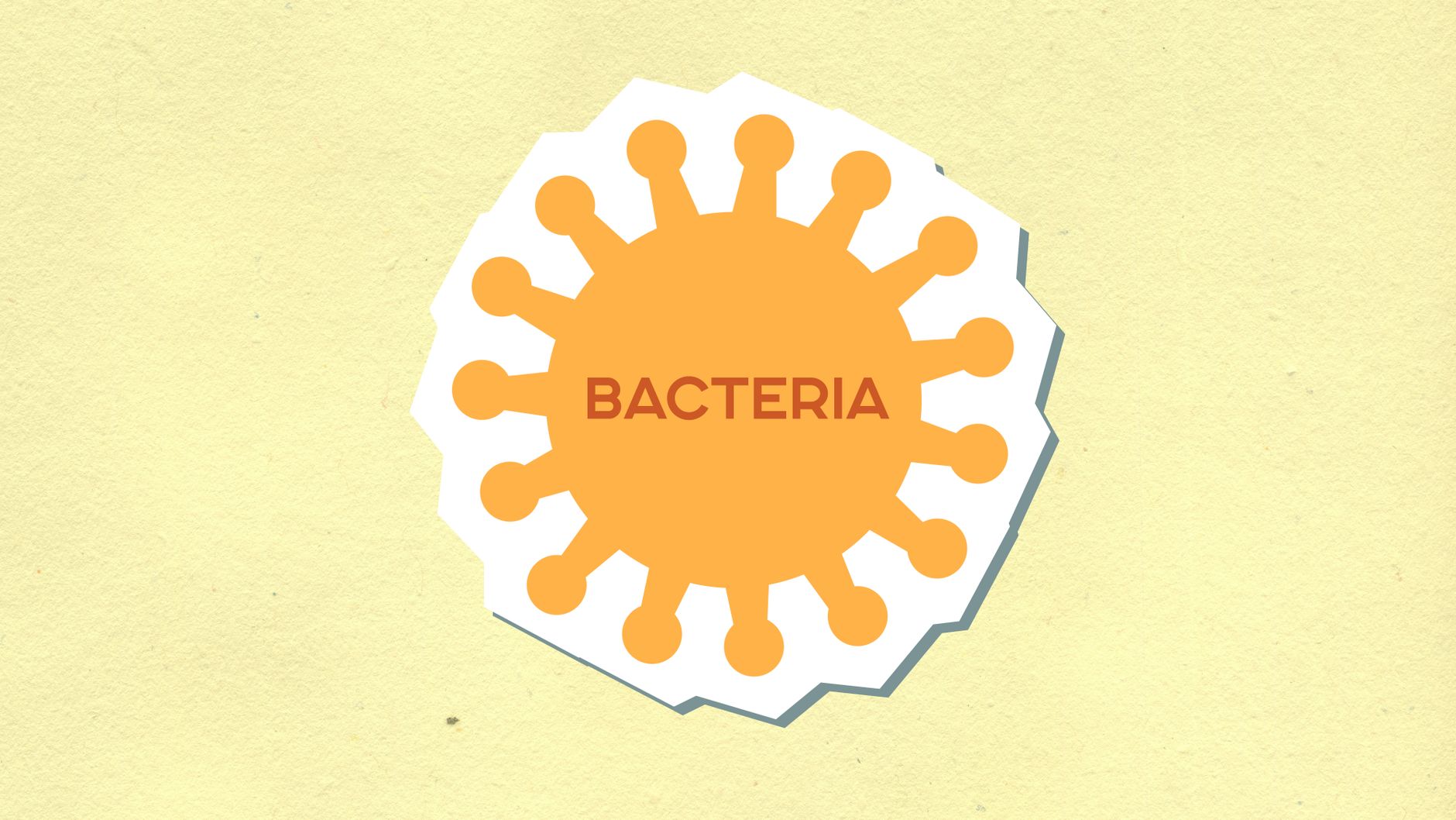 Groundbreaking Experimental Drug Repairs Gut, Completely Reverses Severe Fatty Liver Disease