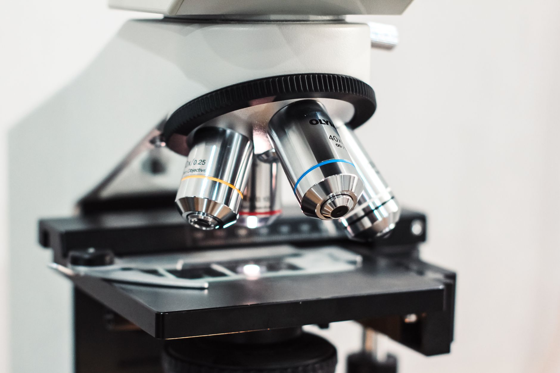 Revolutionary Frog Bacterium Eradicates Cancer Tumors in Mice with a Single, Targeted Dose