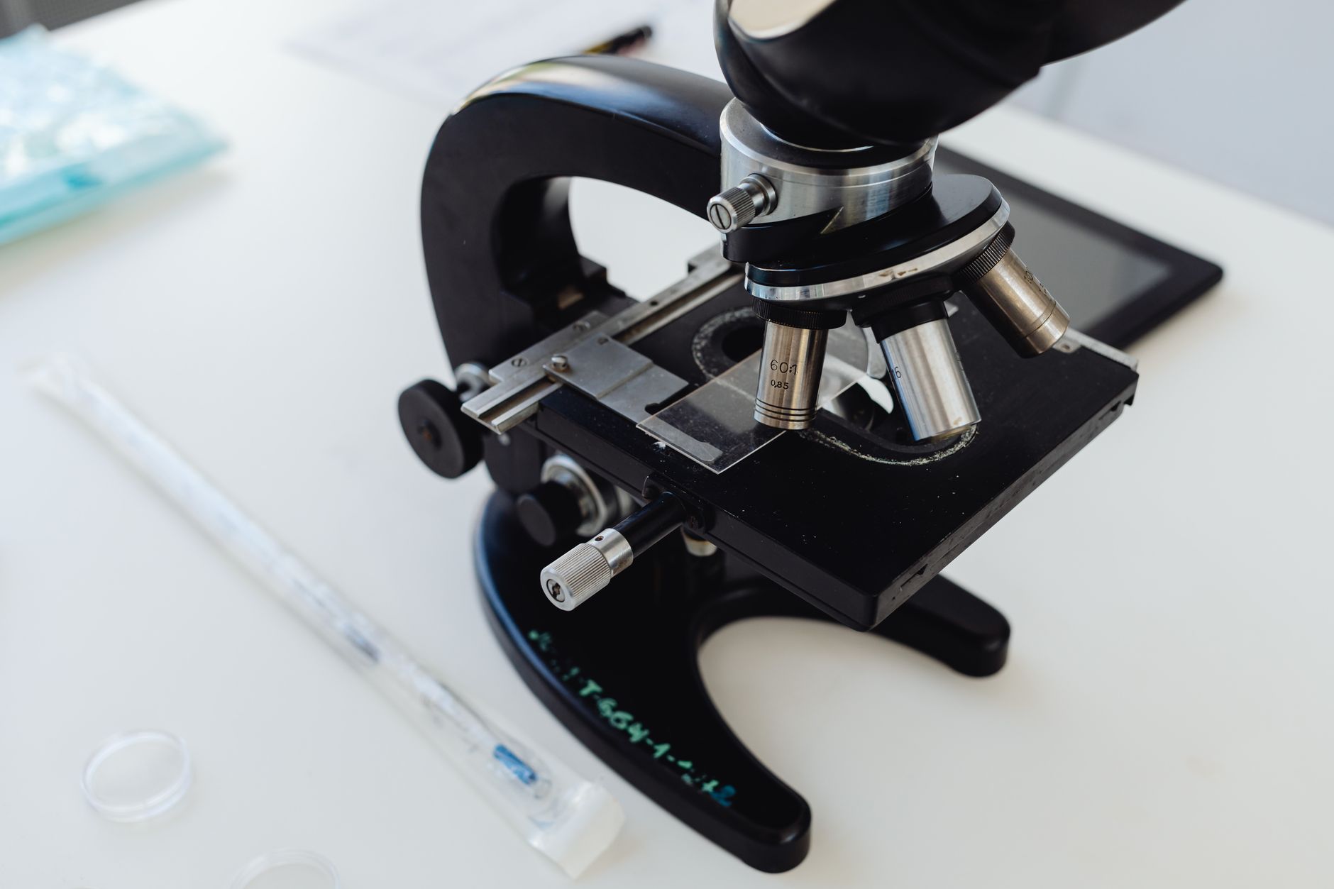 Revolutionary Stem Cell Therapy Offers Hope for a Functional Diabetes Cure, Ending Daily Insulin Dependence