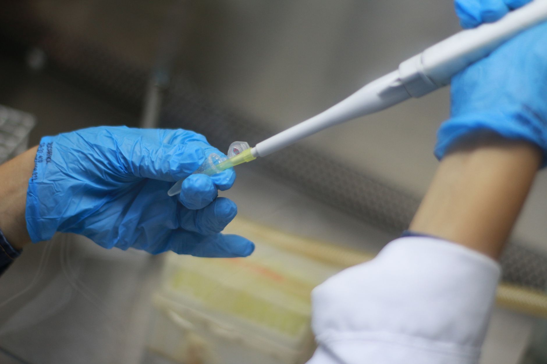 Mayo Clinic Forges Future of Medicine with Precure Research: A New Era of Personalized Health