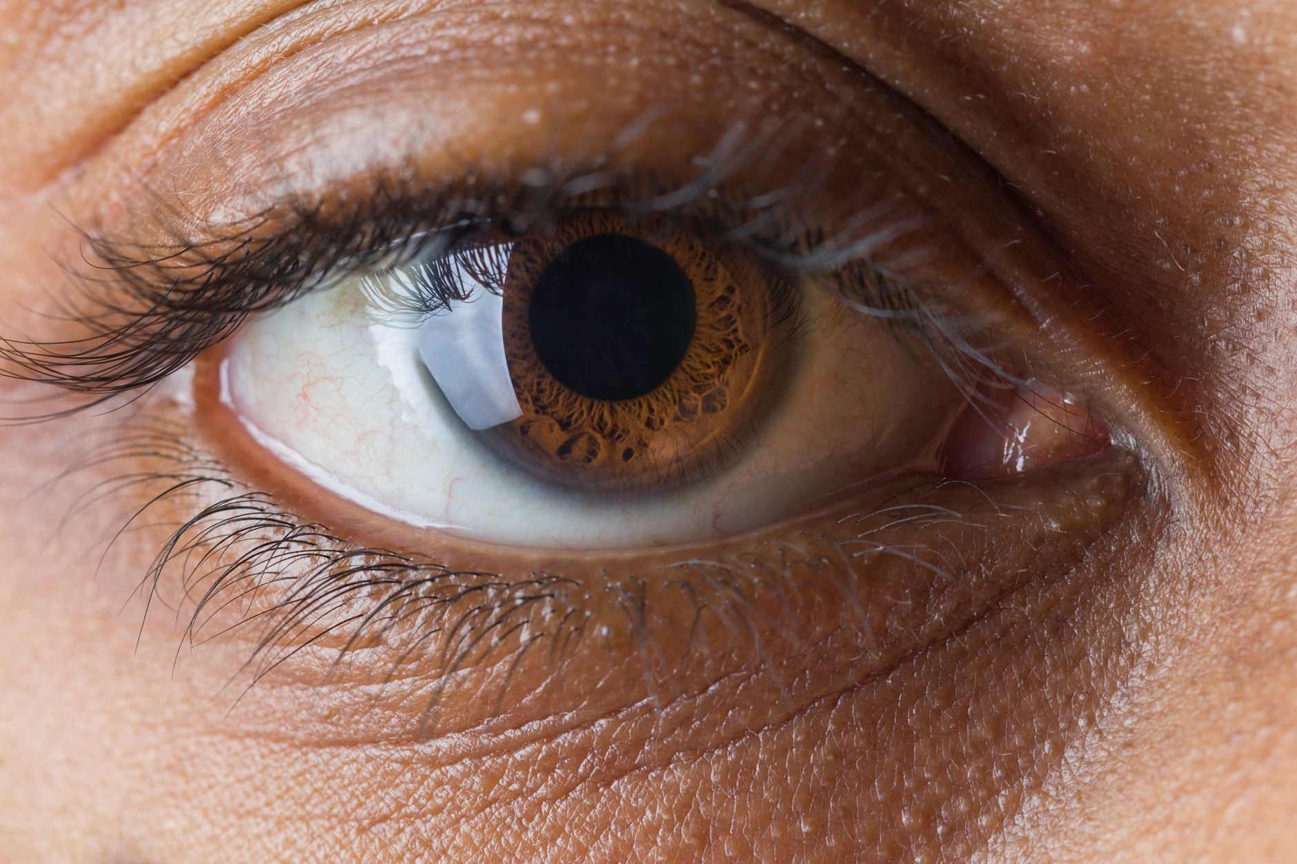 Unveiling the Eye's Secret Weapon: A Newly Discovered Cellular Waste Disposal System