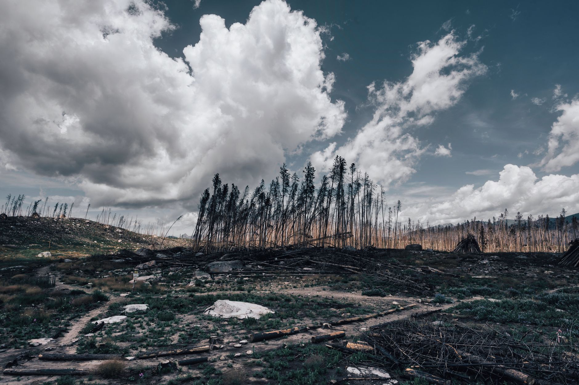 Global Climate Action: Biden's Leaders Summit on Climate Ignites Urgent International Cooperation