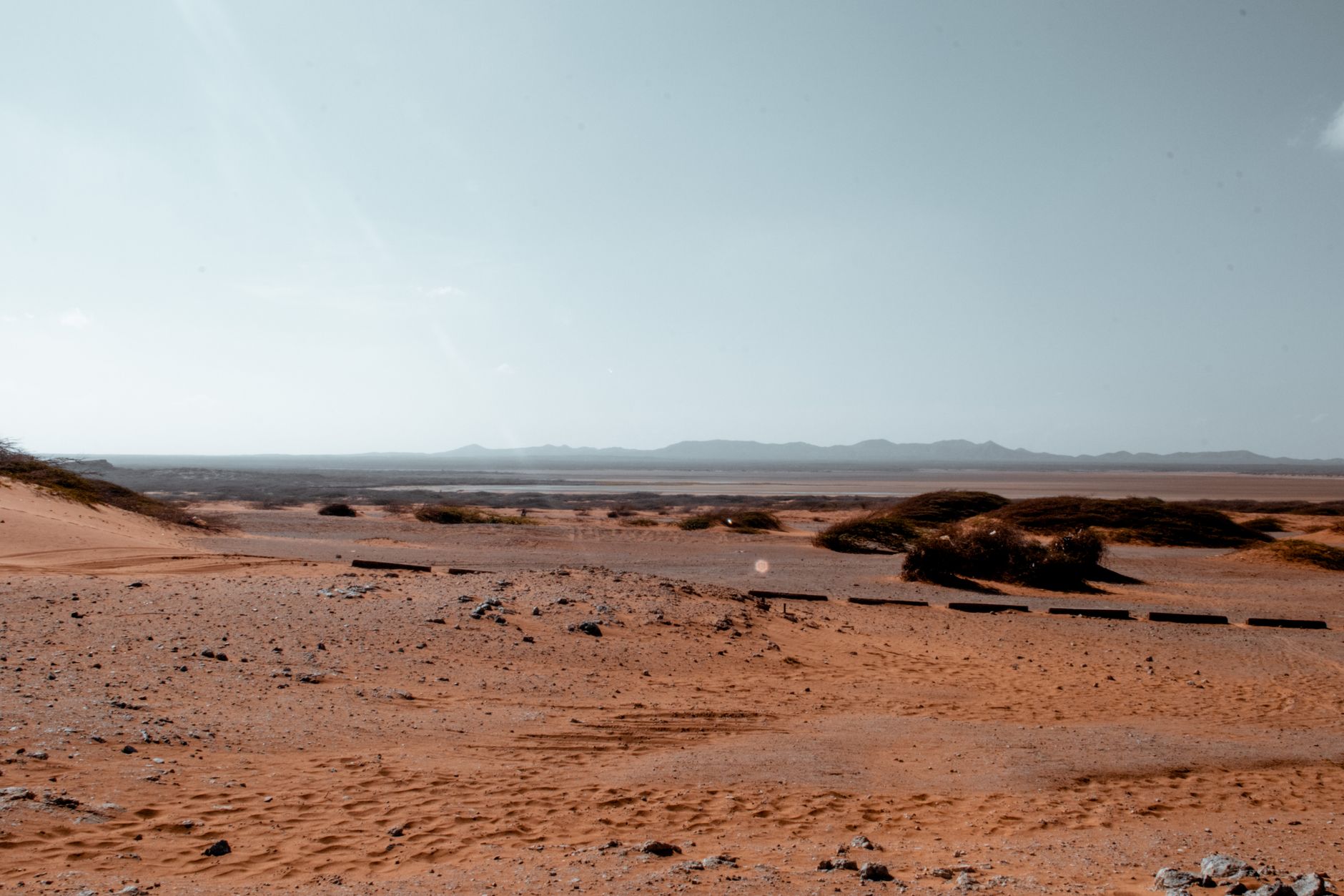 Abu Dhabi Secures Prestigious FEI Endurance World Championship 2026: A Global Equestrian Showcase