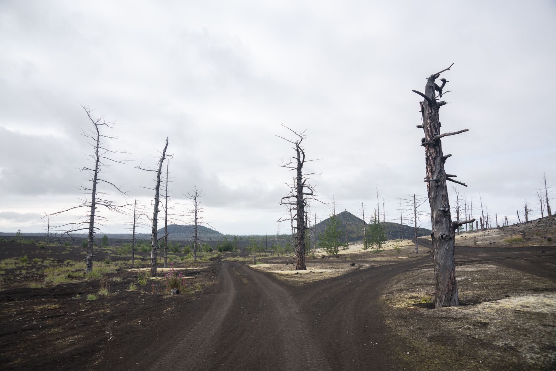 Catastrophic Blaze Engulfs Wildberries, Igniting a $3 Billion Crisis for Russian E-commerce