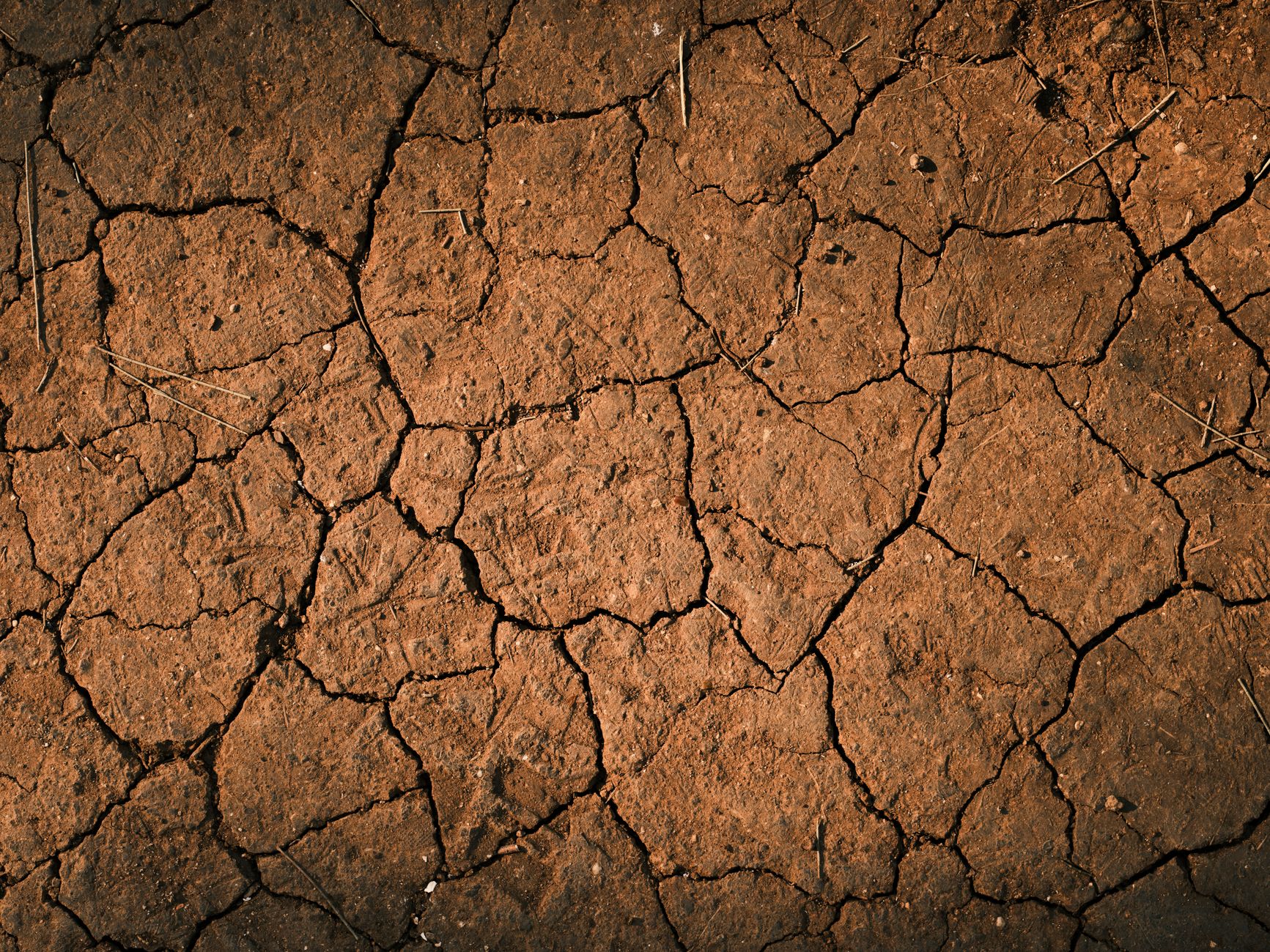 America's Heat Crisis Escalates: Federal Inaction Leaves Millions Vulnerable to Record Temperatures