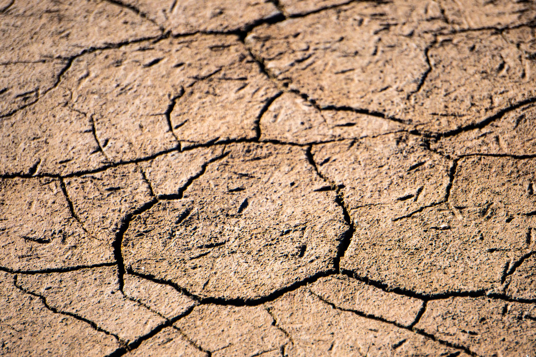Europe Swelters: Unprecedented Heatwave Triggers Red Alerts Across Italy and Beyond
