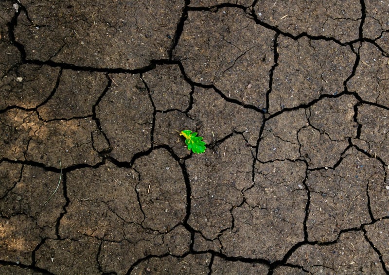 Climate Crisis and Tech Race Reshape Oil Markets Amidst Price Volatility