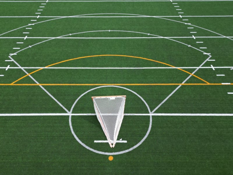 High School Lacrosse Stars Shine: Wheaton Academy Boys, York Girls Advance in State Tournaments