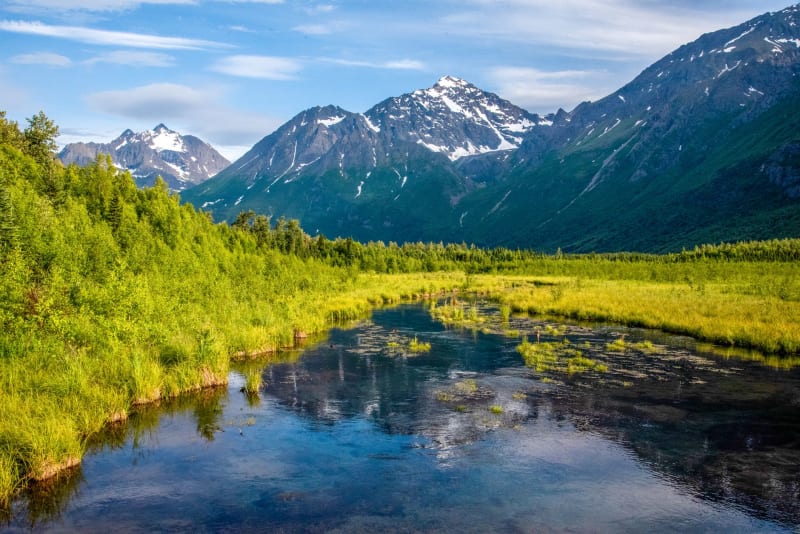 Alaskan Bush People' Star Matt Brown's Tragic Death Confirmed as Suicide by Gunshot