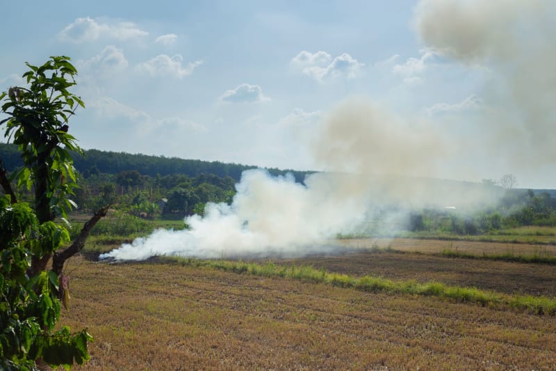 Massive Michigan Business Fire Erupts in 60-Foot Flames, Sending Smoke Billowing for Miles