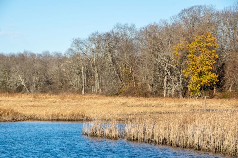 Couple Cultivates Cross-State Business from Connecticut's Natural Wonders