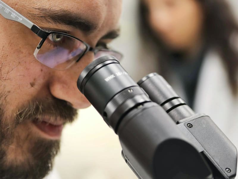 Pancreatic Cancer Drug Trial Exceeds Expectations, Offering New Hope for Patients