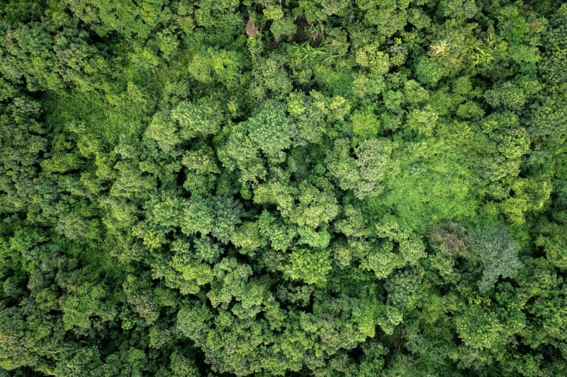 Biochar Boosts Soil Carbon Storage, Depth Key Factor