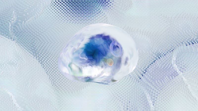Scientists identify a cell type in the brain that was previously ignored and it may explain why human memory has no known upper limit