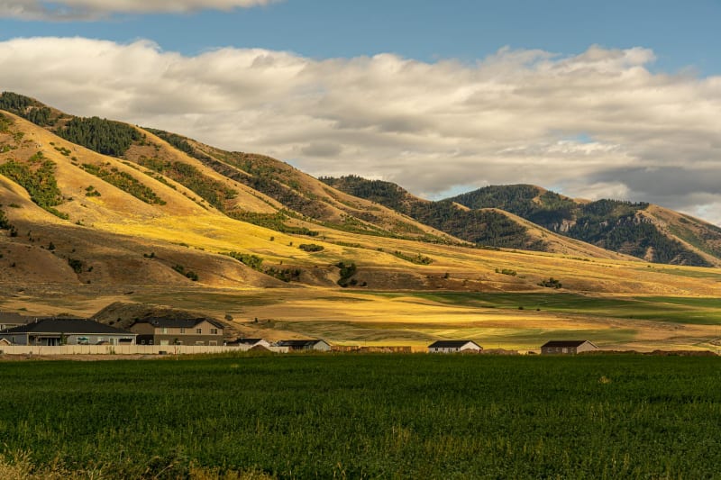 Beyond the Vineyard: California Buyers Seek Legacy Ranch Estates