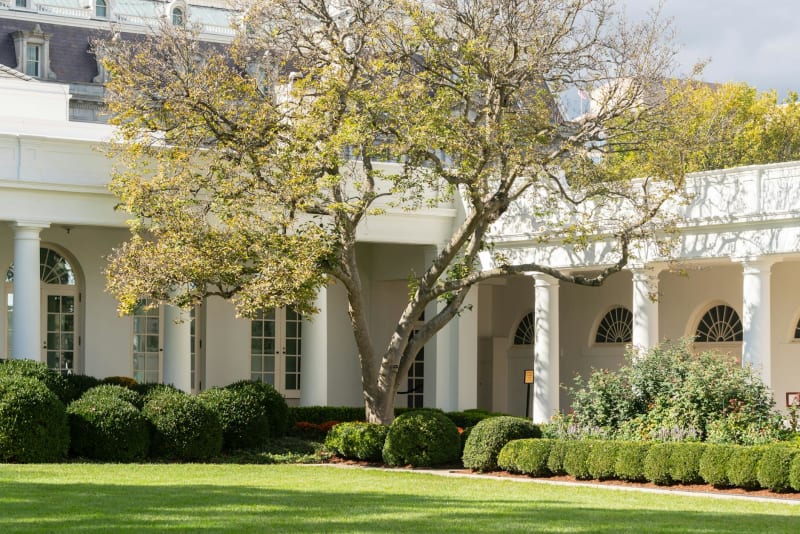 Reagan's Daughter: Today's White House Conduct Would Break His Heart
