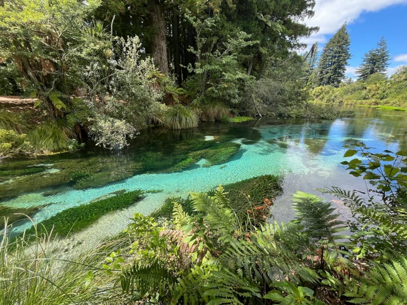 Awakeri Hot Springs closes, business in liquidation with $1 million IRD debt