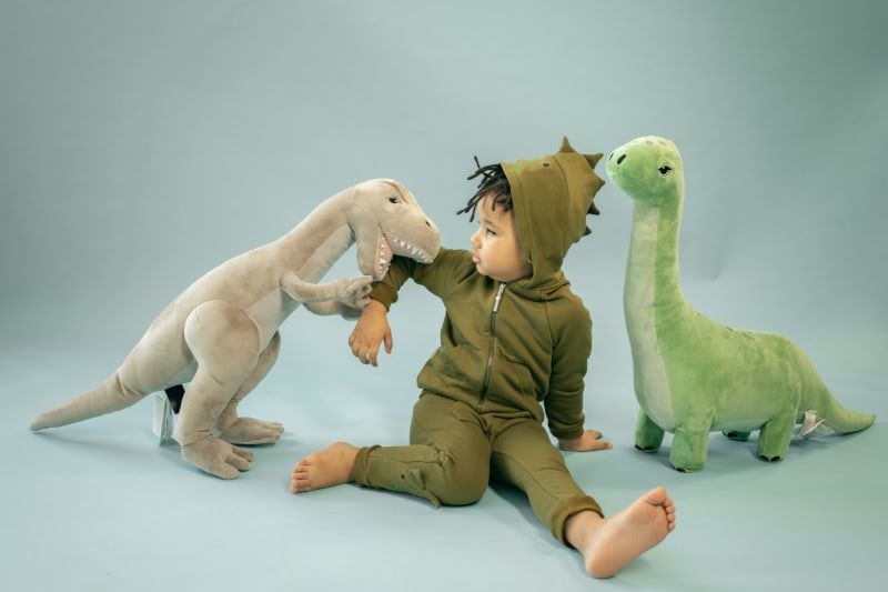 The fight to save Dunedin's dinosaur slide from extinction