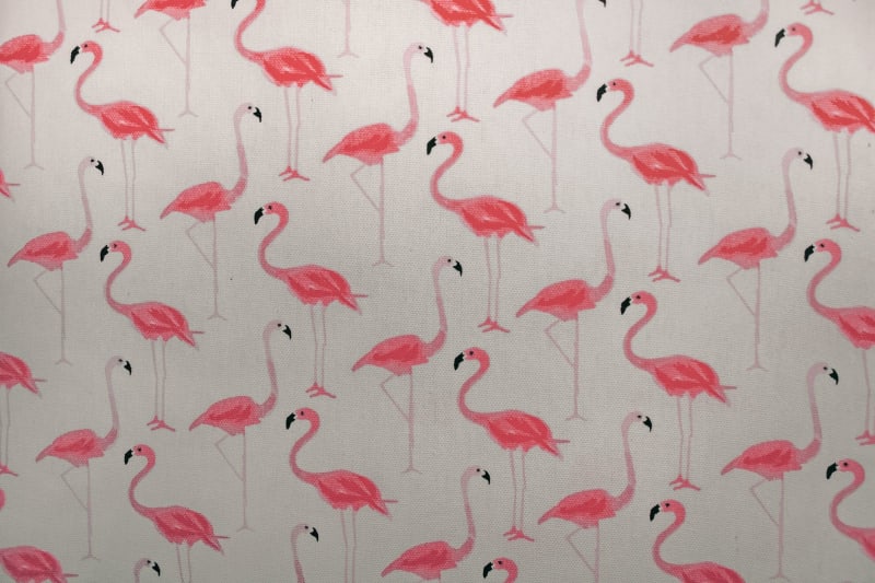 Albania’s growing ‘flamingo revolution’ targets Jared Kushner resort