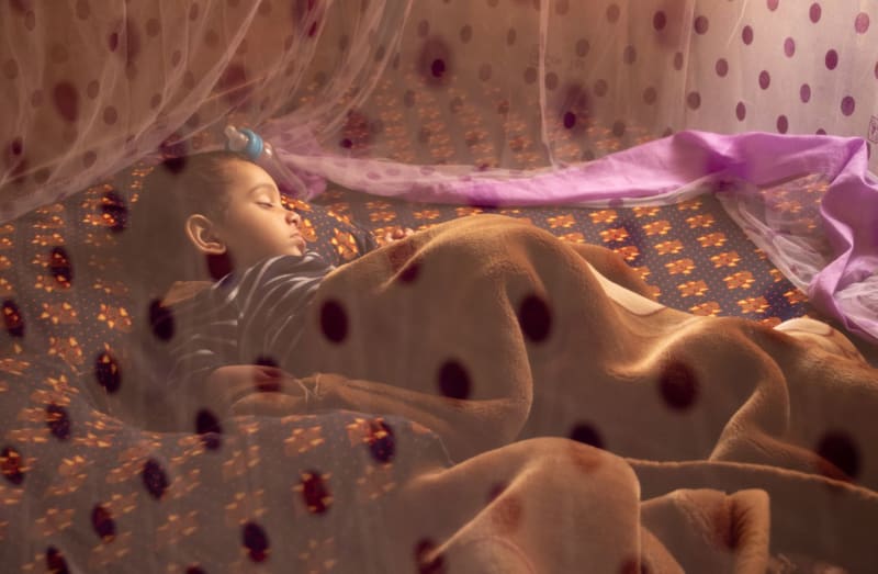 Hong Kong investigates 2nd local dengue transmission