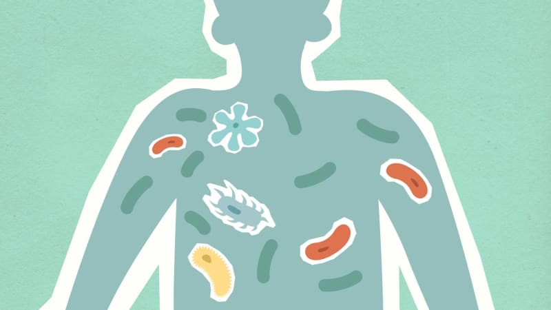 Fighting bacteria effectively without antibiotics