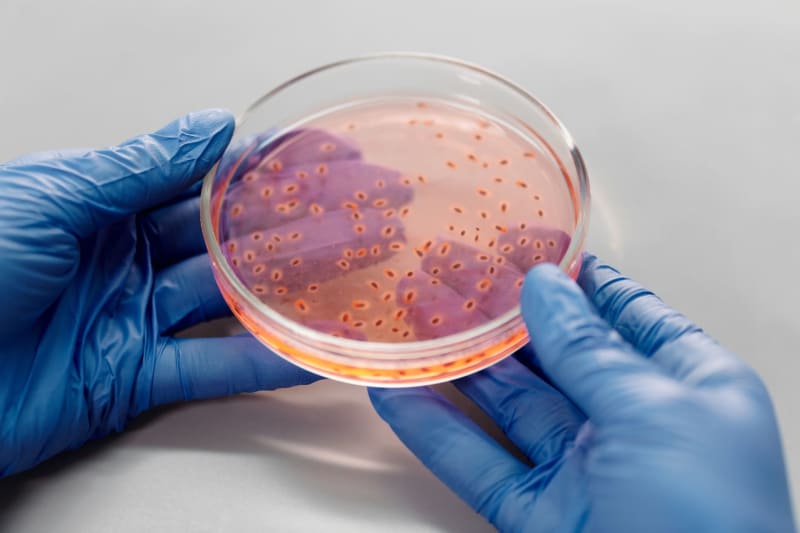 Organized microbial ‘workforces’ keep Earth’s underground biosphere running