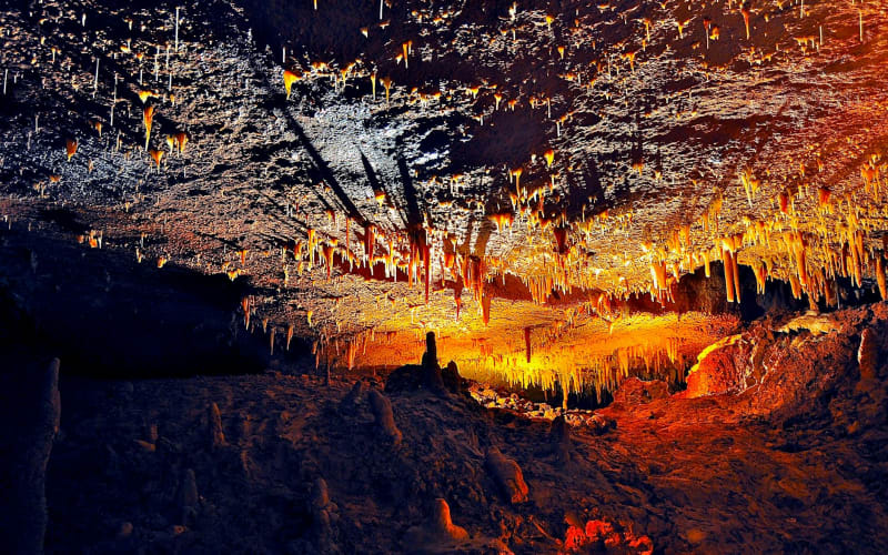 Organized microbial ‘workforces’ keep Earth’s underground biosphere running
