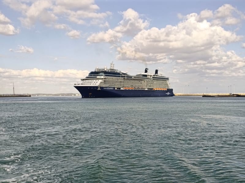 Global Health Alert: Cruise Ship-Linked Hantavirus Outbreak Triggers International Scrutiny and Urgent Response