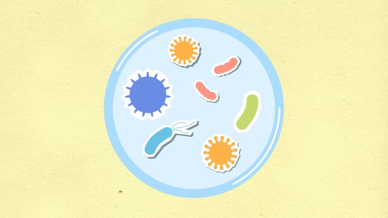 Zoonotic Threats: Bolstering Global Disease Surveillance is Humanity's Urgent Imperative Against Future Pandemics