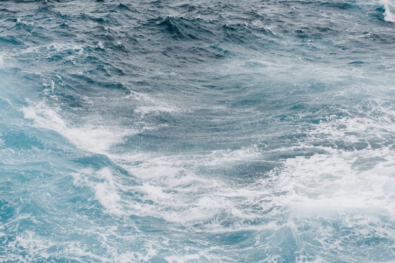 Historic African Summit Secures $6.4 Billion for Urgent Global Ocean Conservation