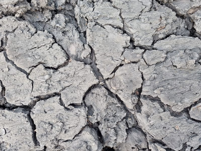 Seismic Shockwaves: How a Natural Disaster Exacerbates Venezuela's Deepening Humanitarian Catastrophe